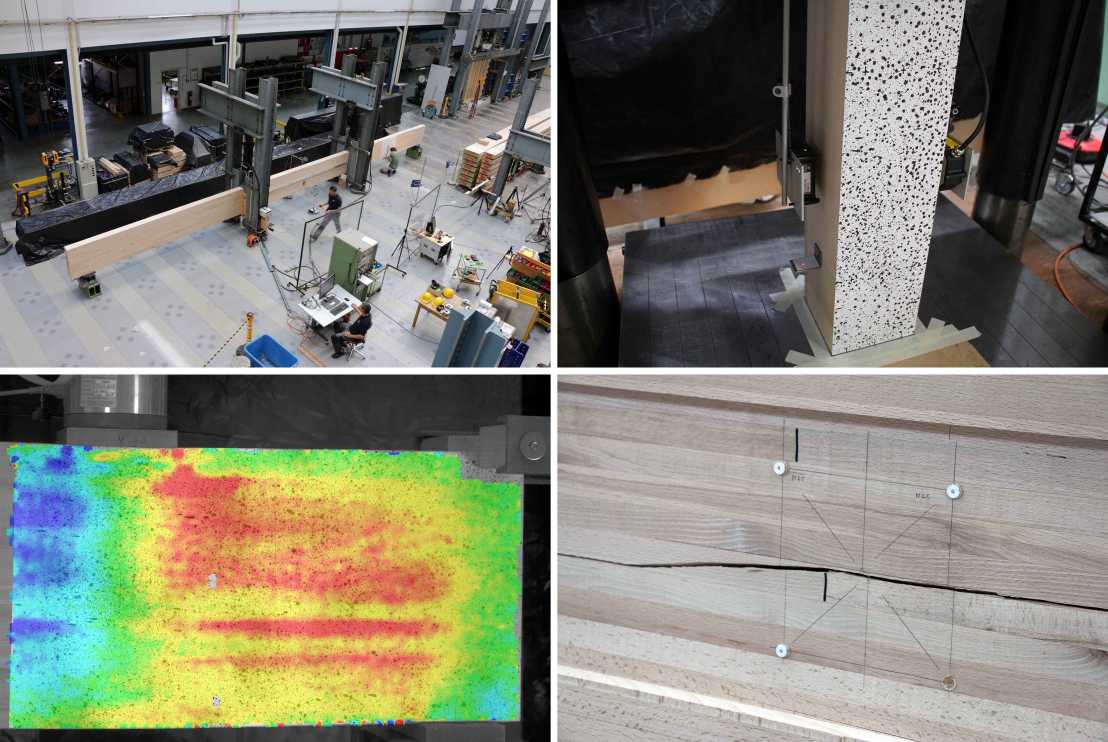 Vergrösserte Ansicht: Experimental tests on European beech GLT